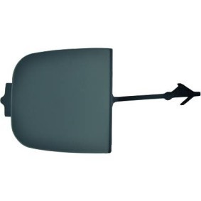 Klappe, Abschlepphaken 1807166 von DIEDERICHS günstig für 15,03 € online kaufen
