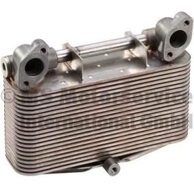 Acquista Radiatore olio motore da BF 20190228420 a buon mercato per soli 420,76 €