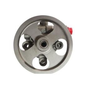 Achetez des Pompe de direction assistée SPIDAN 53884 à prix pour 478,46 €