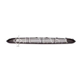 Lüftungsgitter, Stoßfänger 22061236 von JUMASA günstig für 46,24 € online kaufen