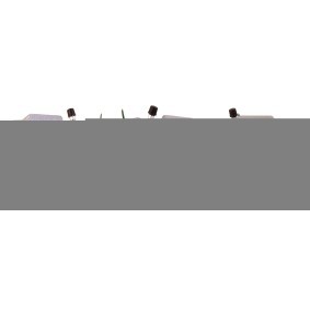Comprar Pinza de freno de DRI 3163100 a bajo precio de 59,27 €