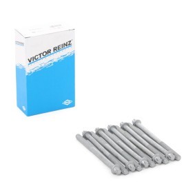 Compre Jogo de parafusos da cabeça do motor da REINZ 14-32102-01 a um preço baixo por 13,36 €