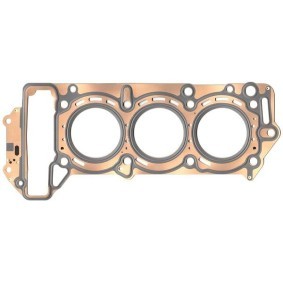Zylinderkopfdichtung 548.891 von ELRING günstig für 52,37 € online kaufen