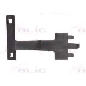 Acquista Modanatura paraurti da BLIC 5510-00-6009923P a buon mercato per soli 22,45 €