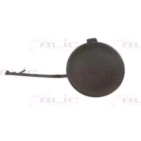 Klappe, Abschlepphaken 5513-00-0029920Q von BLIC günstig für 12,27 € online kaufen