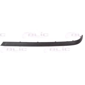 Acquista Modanatura paraurti da BLIC 5513-00-00659704P a buon mercato per soli 23,87 €