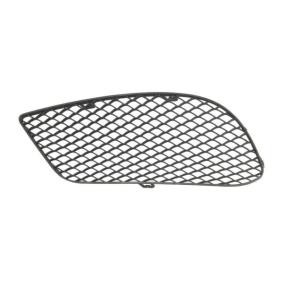 Lüftungsgitter, Stoßfänger 5513-00-3529913P von BLIC günstig für 11,89 € online kaufen
