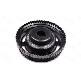 Compre Polia, cambota da AUTEX 658168 a um preço baixo por 65,84 €