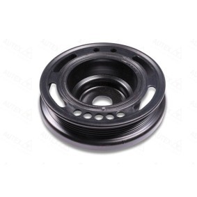 Compre Polia, cambota da AUTEX 658256 a um preço baixo por 63,96 €