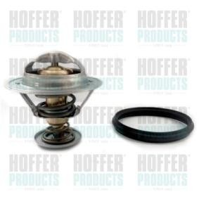 Comprar Termostato, refrigerante de HOFFER 8192825 a bajo precio de 26,89 €