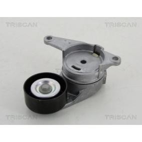 Compre Rolo tensor, correia trapezoidal estriada da TRISCAN 8641 103046 a um preço baixo por 146,05 €