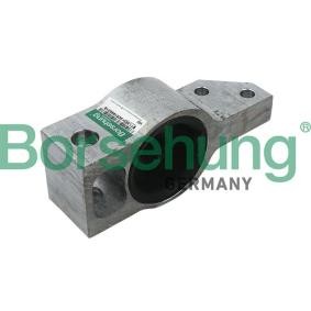 Acquista Supporto braccio oscillante da Borsehung B11353 a buon mercato per soli 30,78 €