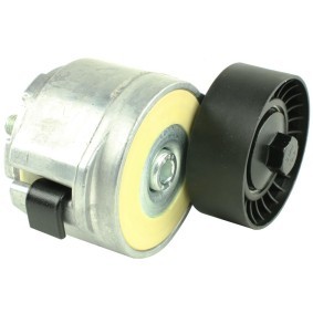 Spannrolle, Keilrippenriemen FT44617 von FAST günstig für 48,87 € online kaufen