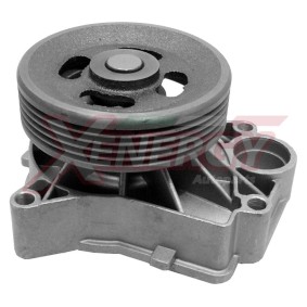Wasserpumpe X202282 von AP XENERGY günstig für 90,40 € online kaufen