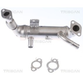 Osta EGR-jäähdytin TRISCAN:llä 8813 43106 edullisesti hintaan 565,24 €