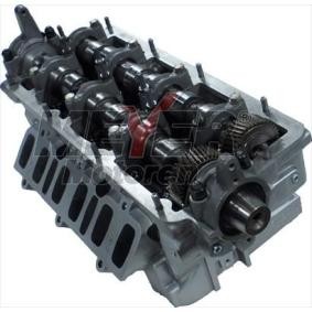 Zylinderkopf 013024190 von MEYER MOTOREN günstig für 1218,98 € online kaufen