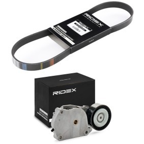Compre Jogo de correias trapezoidais estriadas da RIDEX 542R0880 a um preço baixo por 56,89 €