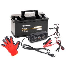 Batterie 1S0295 von RIDEX günstig für 216,42 € online kaufen