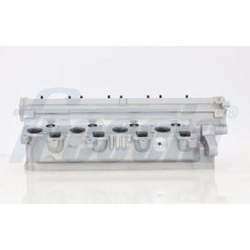 Zylinderkopf CH17-1025 von FRECCIA günstig für 856,17 € online kaufen