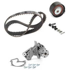 Achetez des Kit de distribution + pompe à eau RIDEX PLUS 3096W0054P à prix pour 100,53 €