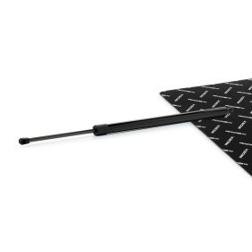 Comprar Amortiguador de maletero de RIDEX 219G1293 a bajo precio de 23,64 €