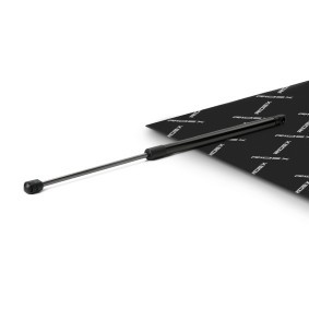 Compre Amortecedor da mala da RIDEX 219G1294 a um preço baixo por 14,15 €