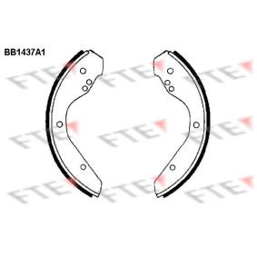 Comprar Juego de zapatas de frenos de FTE 9100161 a bajo precio de 41,65 €