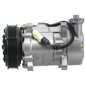 Acquista Compressore aria condizionata da ROTOVIS Automotive Electrics FRC00118 a buon mercato per soli 220,67 €