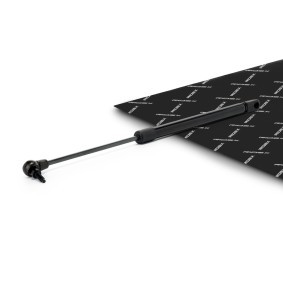Achetez des Vérin de coffre RIDEX 219G1496 à prix pour 15,85 €