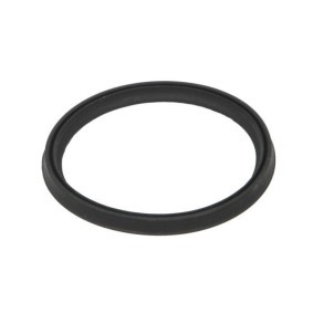 Comprar Junta anular, conducto aire admisión de THERMOTEC DCR273TT a bajo precio de 8,07 €