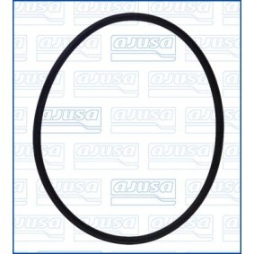 Osta Tiiviste, ruiskutuspumppu AJUSA:llä 16117900 edullisesti hintaan 5,49 €
