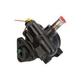 Compre Bomba de direção da LAUBER 55.3333 a um preço baixo por 136,04 €