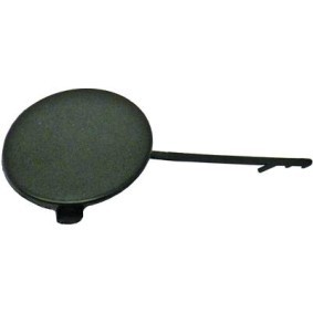 Klappe, Abschlepphaken 1018064 von DIEDERICHS günstig für 15,99 € online kaufen