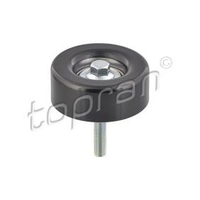 Compre Polia de desvio / de guia, correia trapezoidal estriada da TOPRAN 304 121 a um preço baixo por 26,75 €