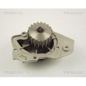 Achetez des Pompe à eau TRISCAN 8600 10848 à prix pour 48,05 €
