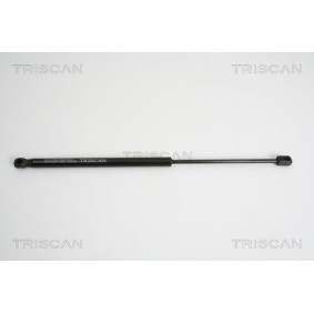 Compre Jogo de maxilas de travão, travão de estacionamento da TRISCAN 8100 10037 a um preço baixo por 42,57 €