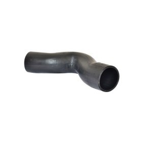 Compre Pisca da BUGIAD BSP20119 a um preço baixo por 6,91 €