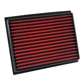 Acquista Filtro aria da AEM 28-20209 a buon mercato per soli 79,15 €