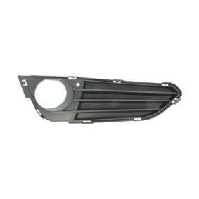 Acquista Griglia paraurti da BLIC 6502-07-0069916P a buon mercato per soli 24,65 €