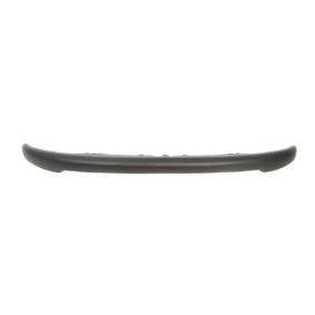 Achetez des Bandeau pare-choc BLIC 6509-01-5507920Q à prix pour 14,08 €