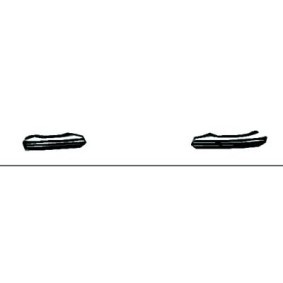 Zier- / Schutzleiste, Kühlergitter 6613042 von DIEDERICHS günstig für 8,51 € online kaufen