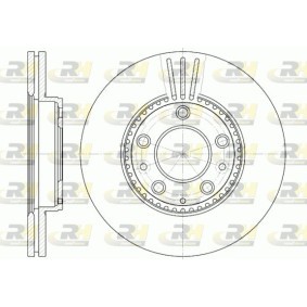Bremsscheibe 6673.10 von ROADHOUSE günstig für 43,53 € online kaufen