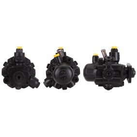Acquista Pompa idraulica, sterzo da DRI 715520506 a buon mercato per soli 361,87 €