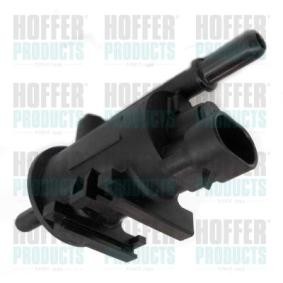 Achetez des Soupape, système d'alimentation en carburant HOFFER 8029393 à prix pour 35,05 €