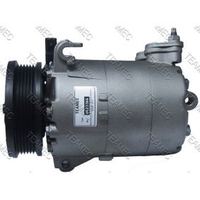 Acquista Compressore aria condizionata da TEAMEC online per Range Rover Evoque (L538) a prezzi moderati