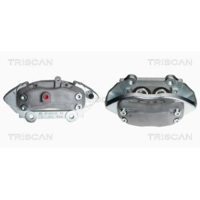 Riemenscheibe, Kurbelwelle 8643 10004a von TRISCAN günstig für 130,13 € online kaufen
