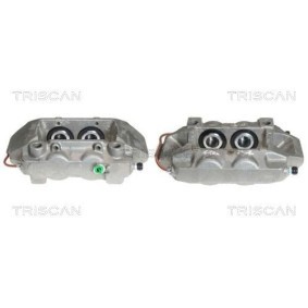 Riemenscheibe, Kurbelwelle 8643 28002a von TRISCAN günstig für 105,23 € online kaufen