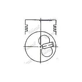 Achetez des Piston NÜRAL 87-528900-00 à prix pour 48,45 €