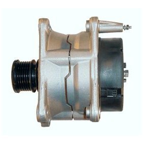 Lichtmaschine 9040950 von ROTOVIS Automotive Electrics günstig für 126,94 € online kaufen