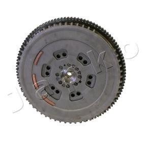 Schwungrad 91109 von JAPKO günstig für 1162,28 € online kaufen